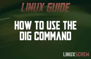 How to Use the Dig Command