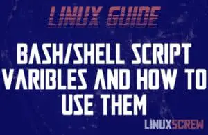 Bash Variables and How to Use Them