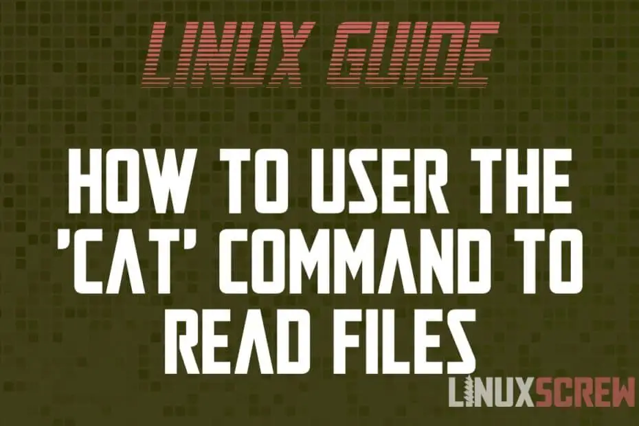 cat Command Linux Bash