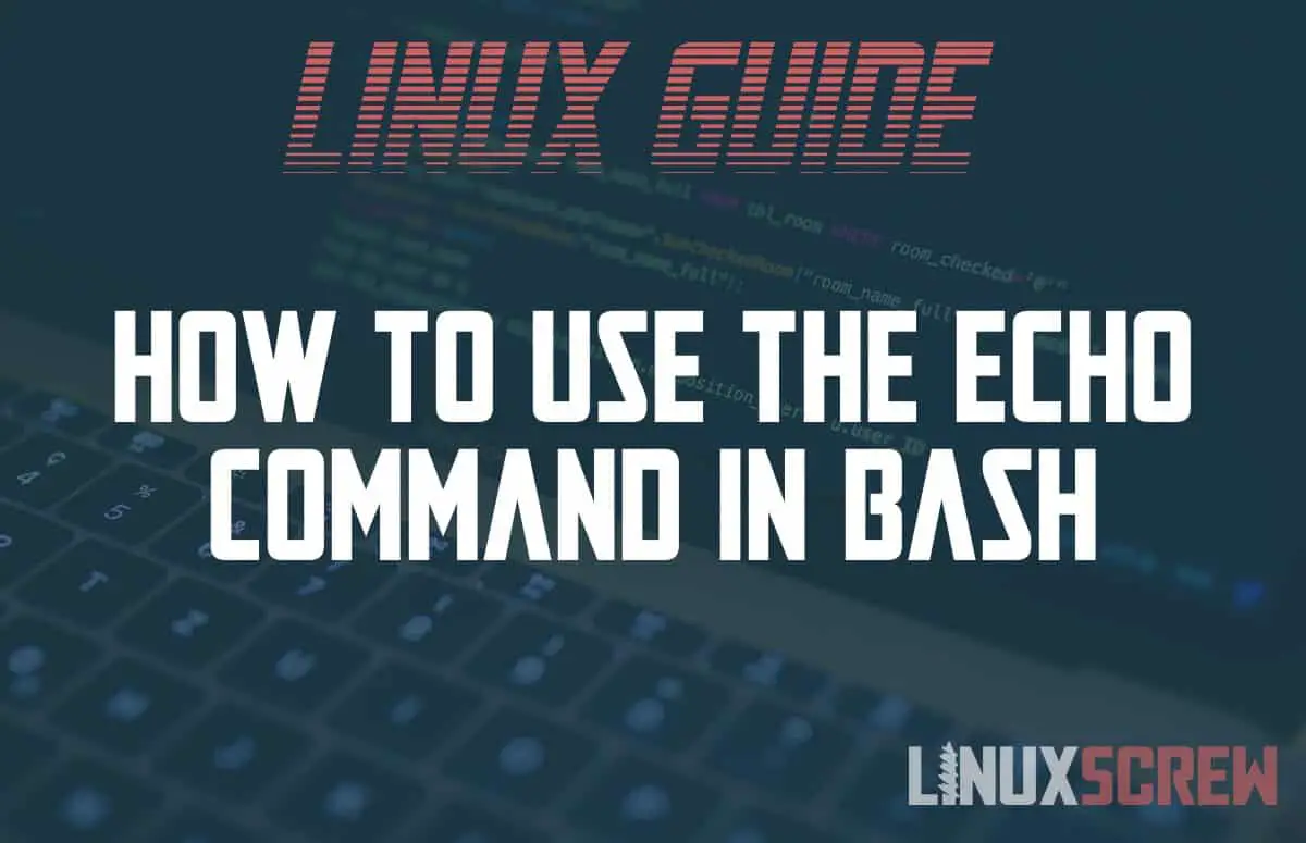How to use the echo command in Bash